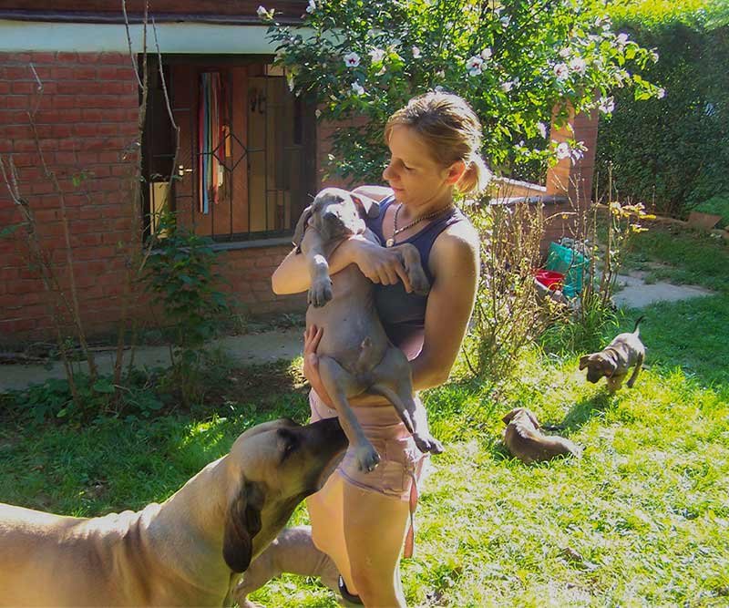 The dog breeding background behind BodArtDogs