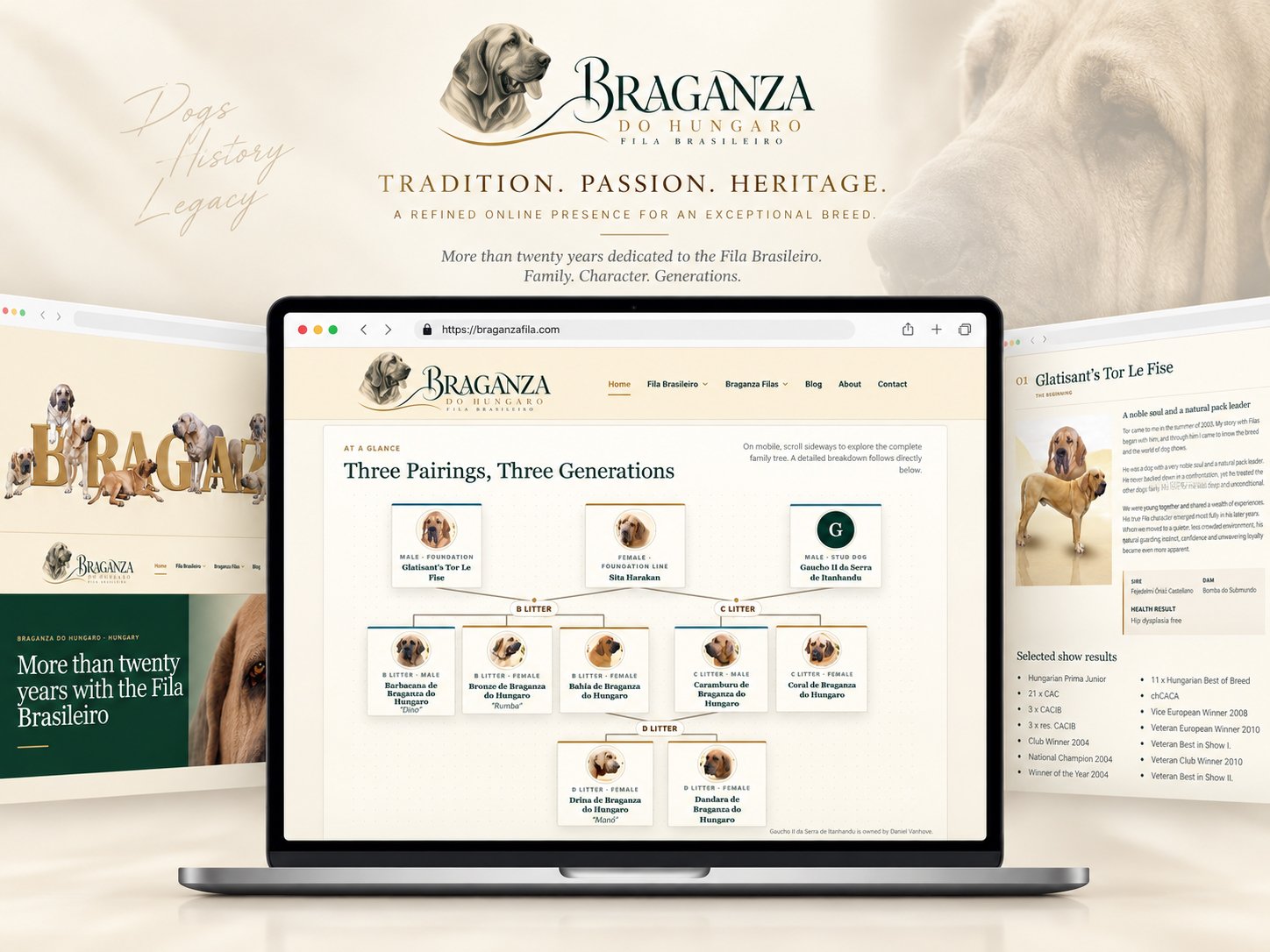 Braganza Fila Brasileiro family tree webpage