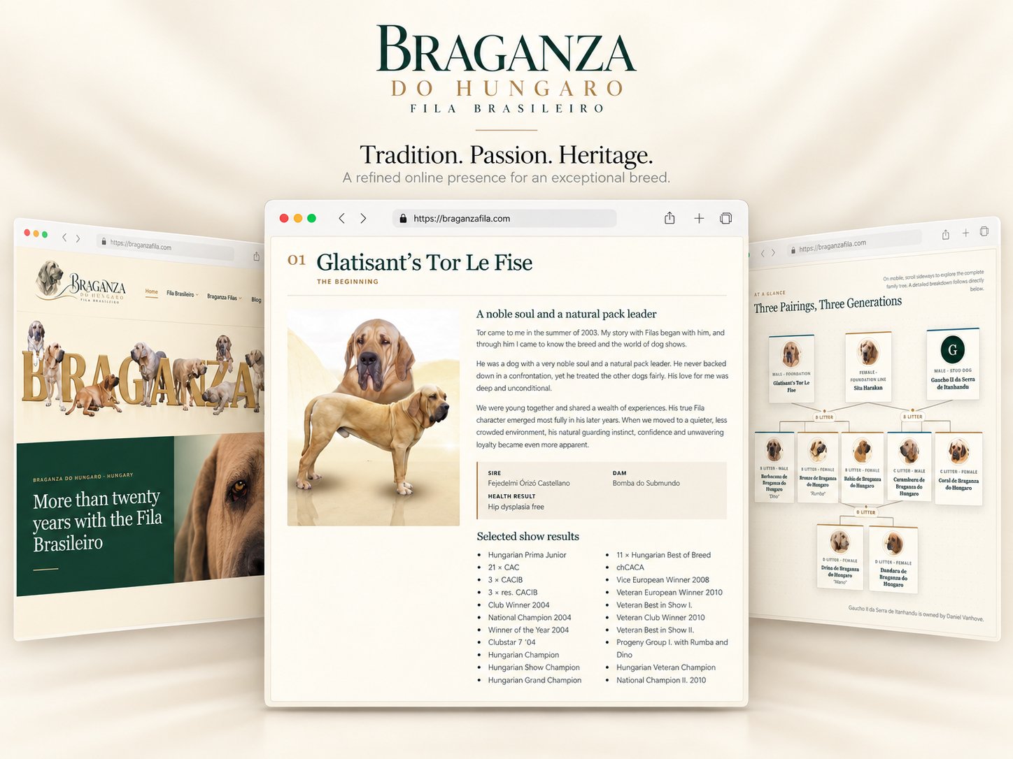 Braganza Fila Brasileiro stud dog webpage