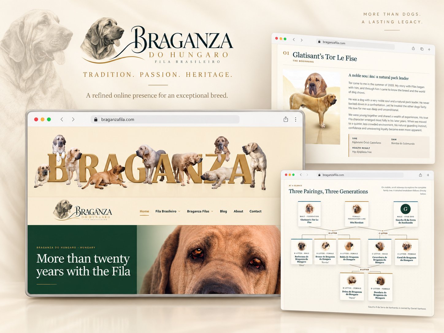 Braganza Fila Brasileiro breeder website design overview